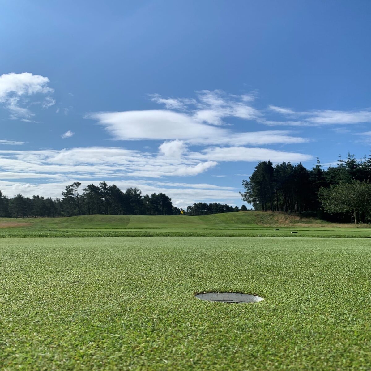 Putting green (3)